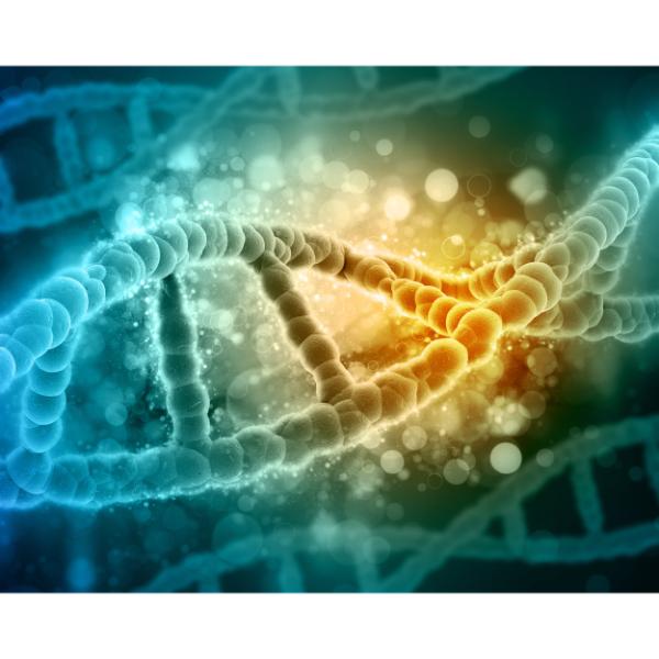 DNA og celler
